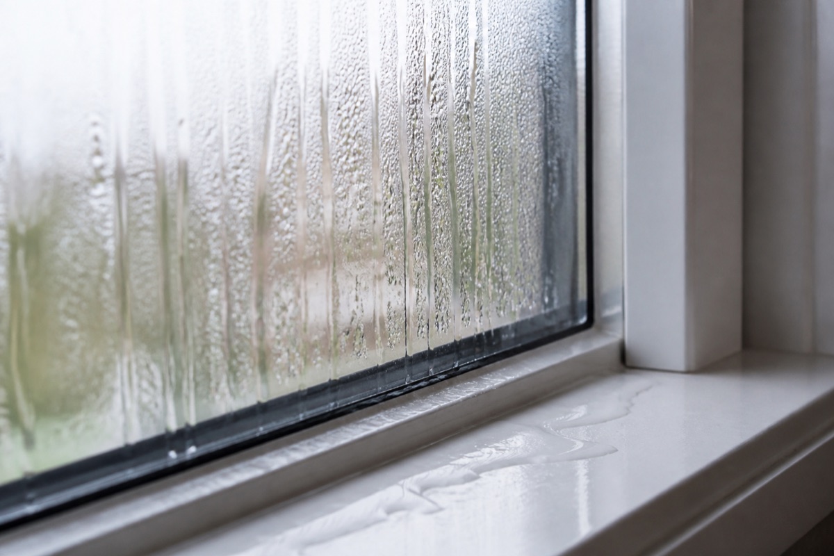Window Condensation: Which Type You Have and What Fixes It